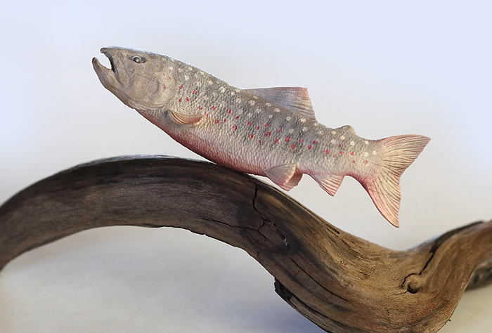 FISH CARVING(フィッシュカービング)シリーズ2冊セット フィッシュカービング | STORES