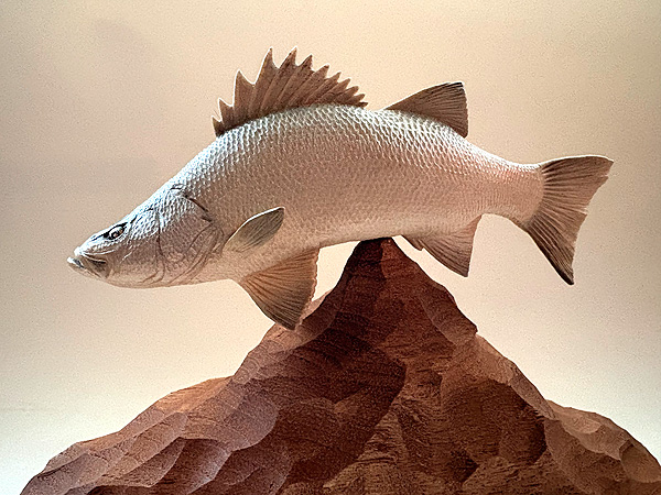 木彫りの魚　木彫りのヒラスズキ　木で彫ったヒラスズキ