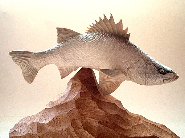 木彫りの魚　木彫りのヒラスズキ　木で彫ったヒラスズキ