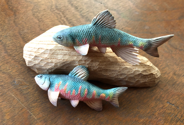木彫りの魚　オイカワ
