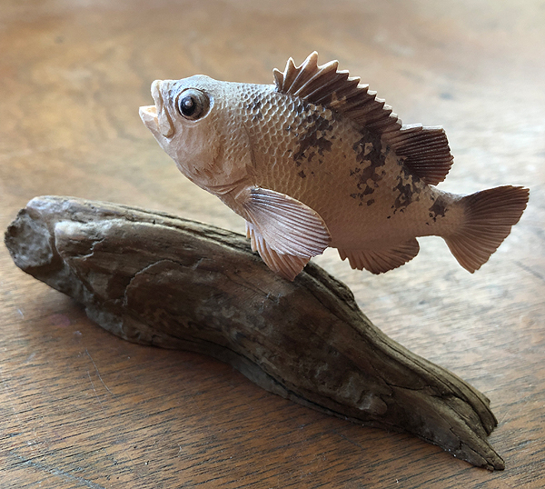 木彫りの魚　黒メバル
