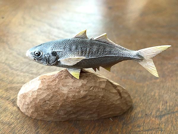木彫りの魚　真アジ