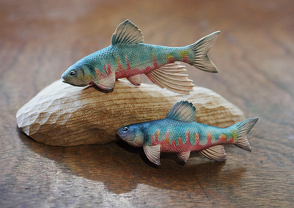 木彫りの魚　オイカワ