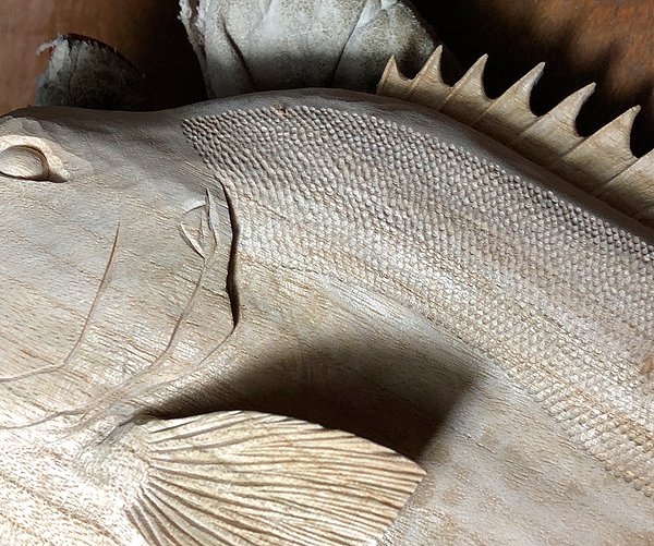 木彫りの魚　石鯛