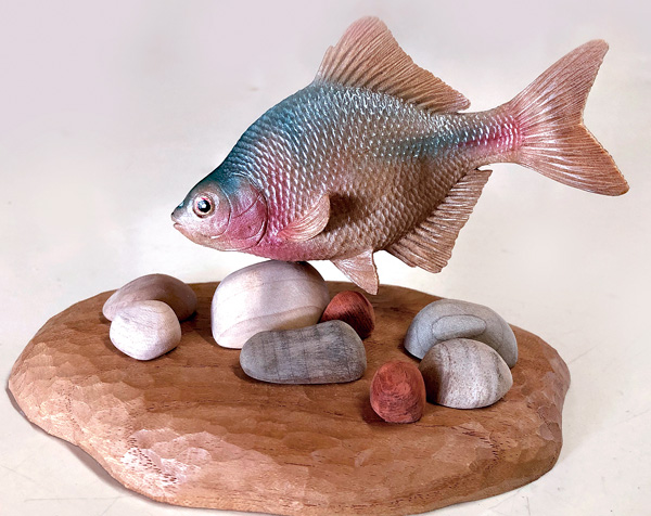 木彫りの魚　木彫りのニッポンバラタナゴ　栃材で彫った魚