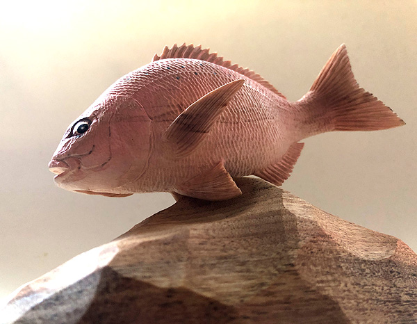 木彫りの魚　真鯛を木彫りする　木で作った真鯛