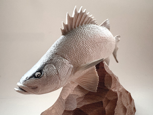 木彫りの魚　木彫りのヒラスズキ　木で彫ったヒラスズキ
